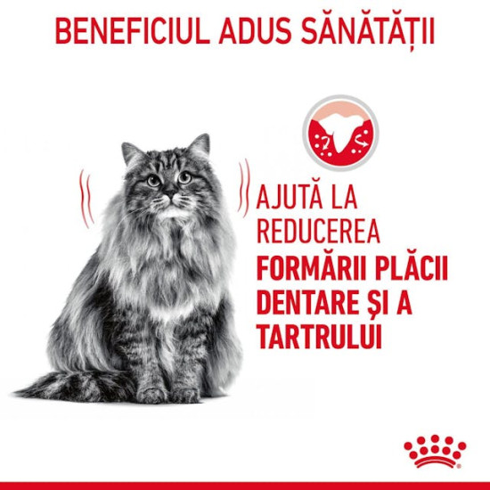 Royal Canin Dental Care Adult – Hrană Uscată pentru Pisici Adulte – 8 kg